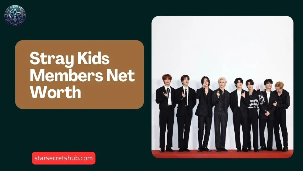 Stray Kids Members Net Worth